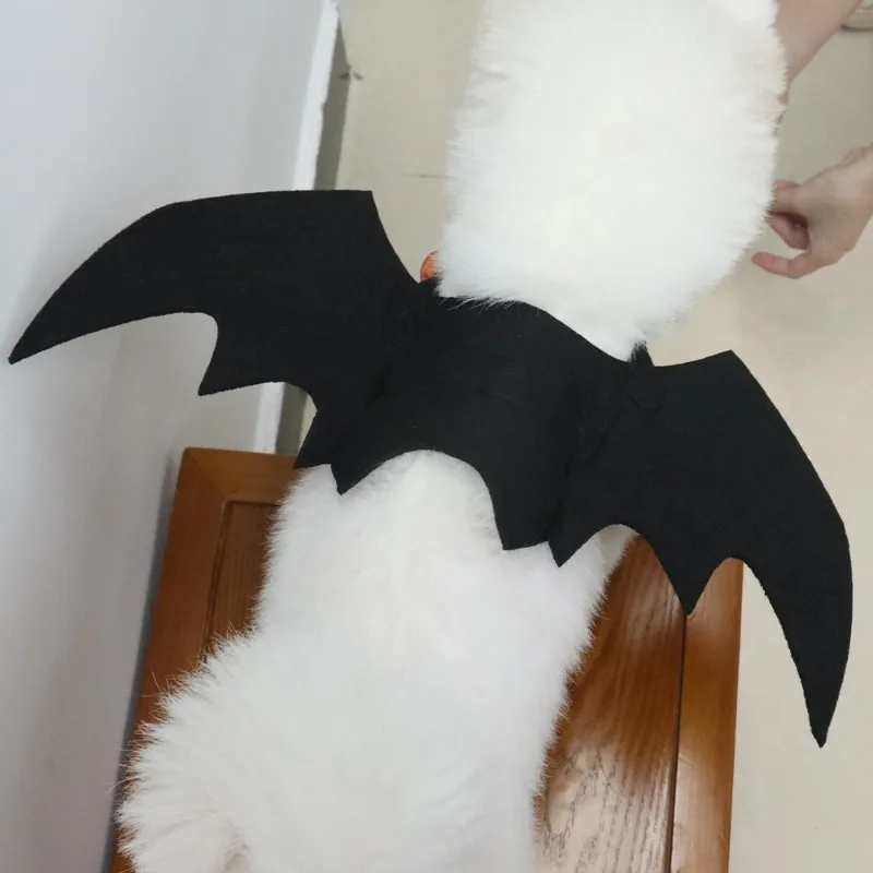 Roupas para animais de estimação, roupas engraçadas e criativas com asas de morcego, roupas para cães e gatos, roupas para cães pequenos