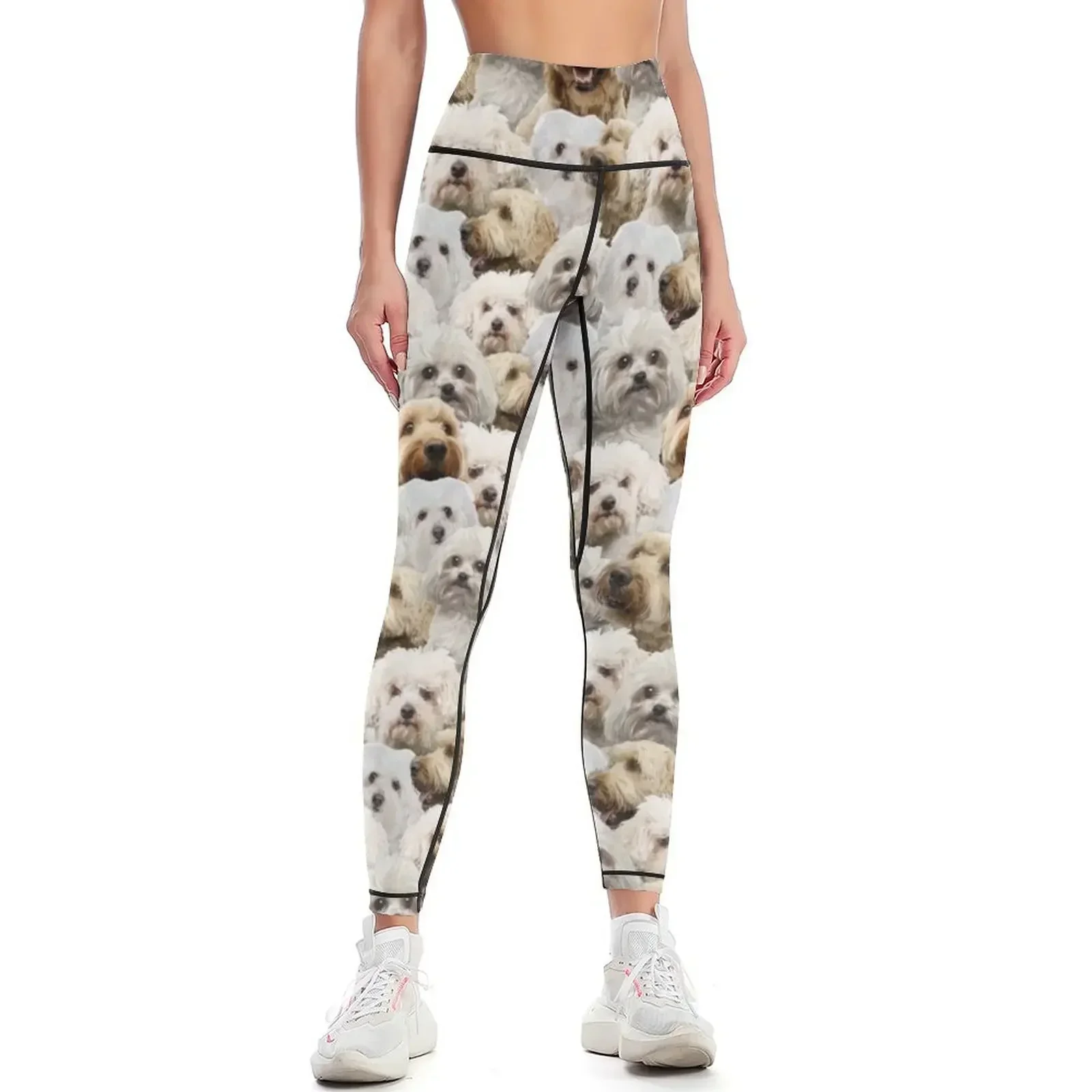 

Bolognese Dog Leggings gym's sportswear sportswear gym sporty woman gym Sportswear woman gym Womens Leggings