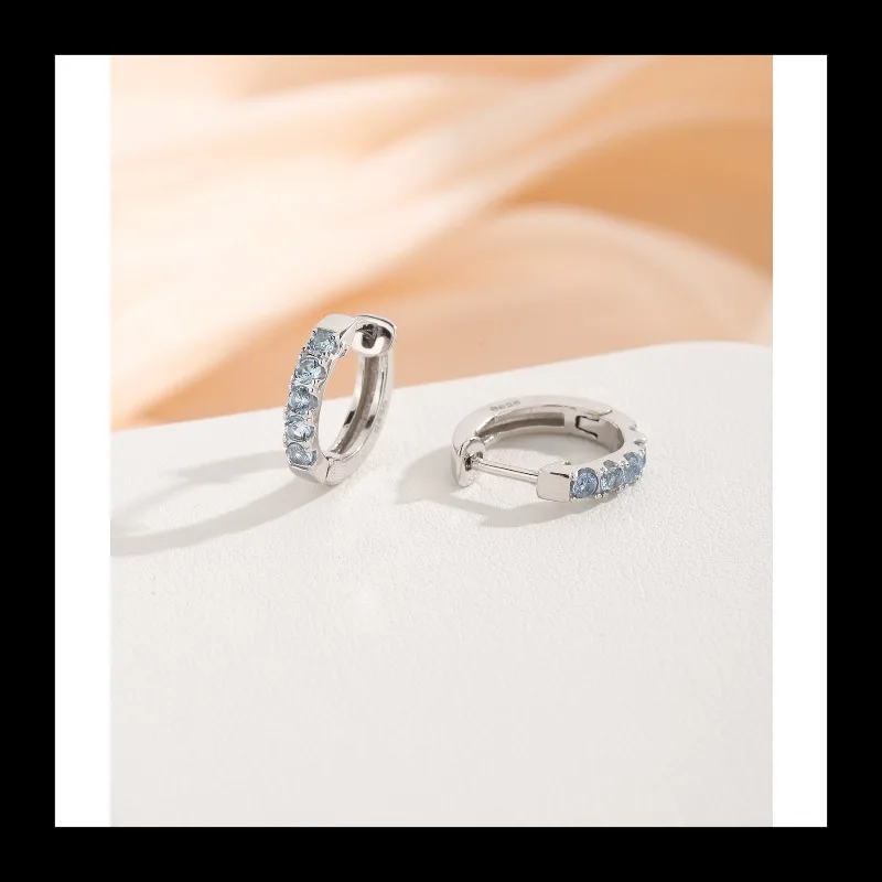 

InsS925 Silver Blue Zirconium Earrings Simple Fashion Temperament High-end Light Luxury New Earrings