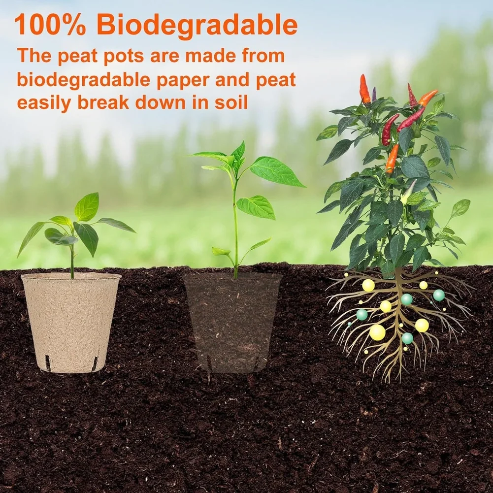 Paper Plant Containers 60pcs Biodegradable with 50pcs White Labels for Easy Plant Variety Tracking and Sorting