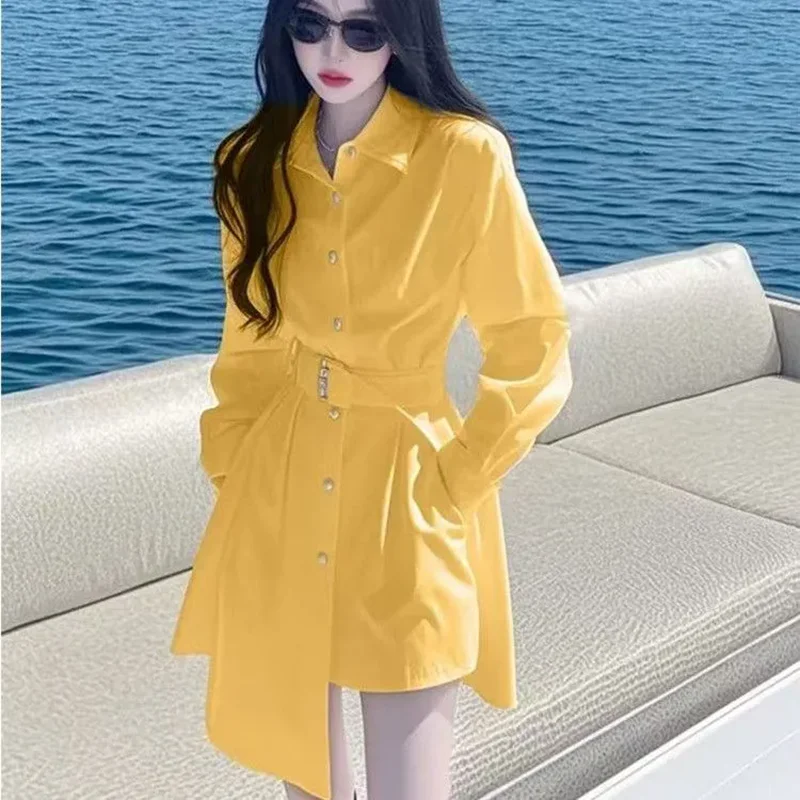 

2025 New Spring Summer Shirts Dress Women Fashion Slim Beautiful Unique Chic Long Sleeve Irregular Shirt dresses