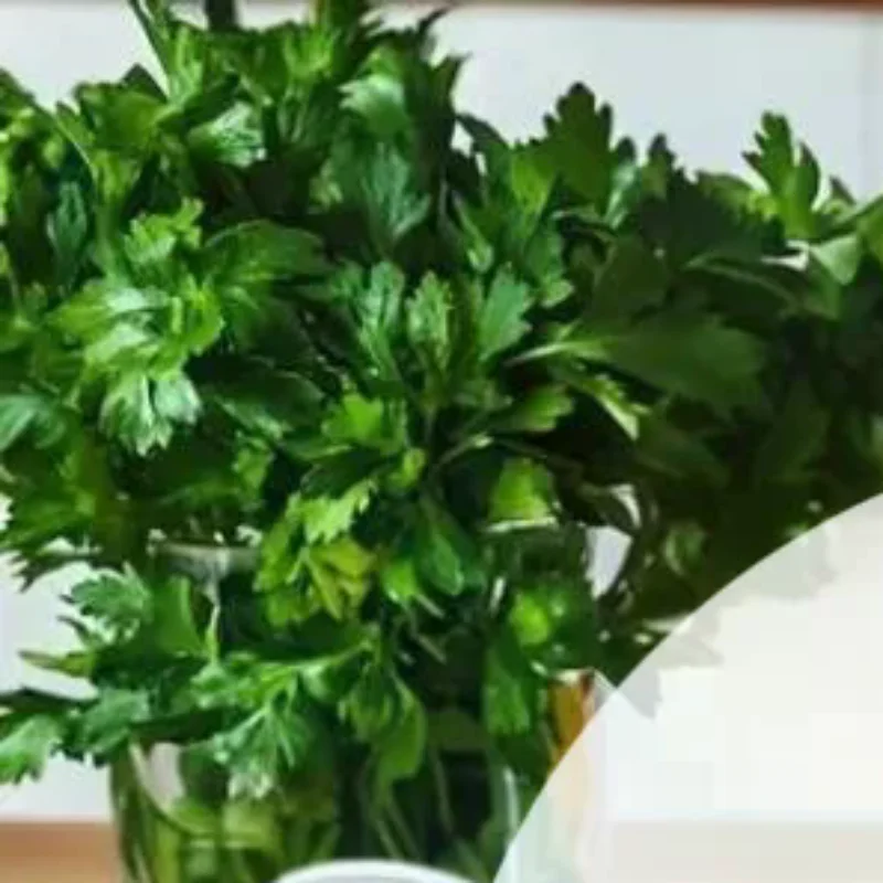 ขวดแบบพลิกฝา 50/120 กรัม พร้อมช้อนหรือแหนบ ขวดรีฟิลได้ กระปุกเปล่าสำหรับเดินทาง ครีมทาหน้า โลชั่น เครื่องสำอาง สำลี กระปุกใส่เครื่องสำอาง