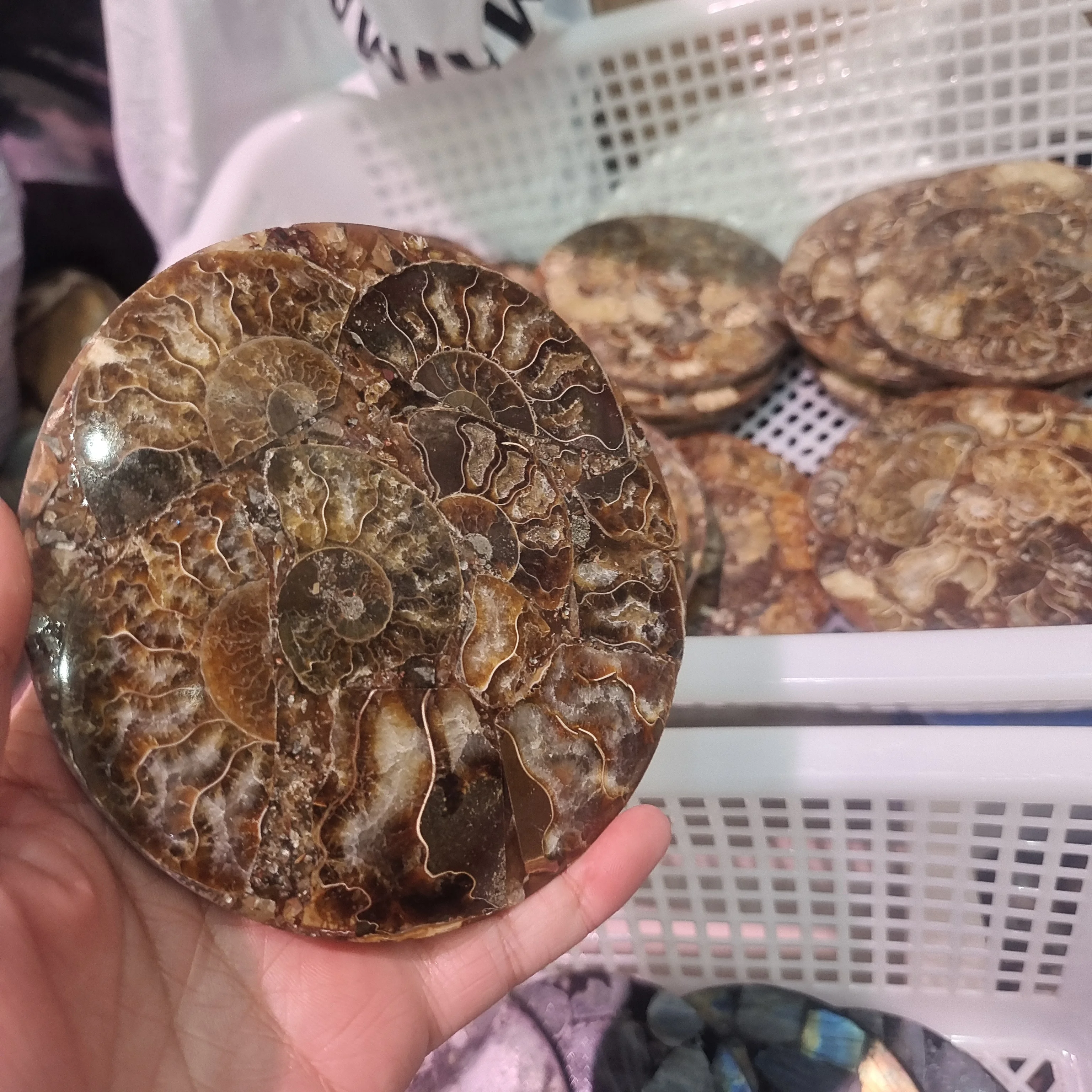 12-13cm Beautiful Ammonite Fossil Slice Plate MADAGASCAR FOSSIL SPECIMEN HEALING Fashion Home Decoration +bracket