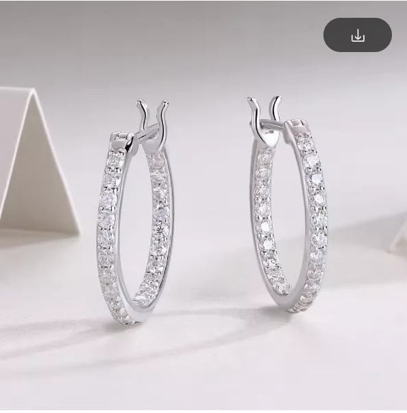 2mm D Color Moissanite Earring s925 Silver Plated 18k White Gold Wedding Hoop Earrings Creole Huggies for Women Gift