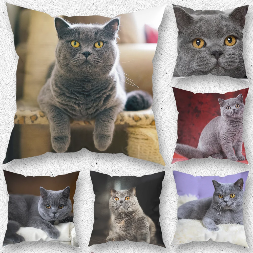 

British Shorthair Pillow Case For Home Bedroom Room Decoration Living Room Sofa Cushion Cover Suitable