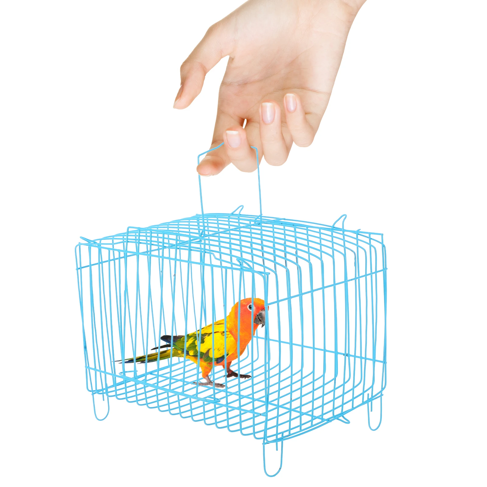 

Portable Bird Cage Handcage Blue Small Size Wire Structure Breathing Space Travel Outdoor Use Steel Wire Takeout Parrot Carrier