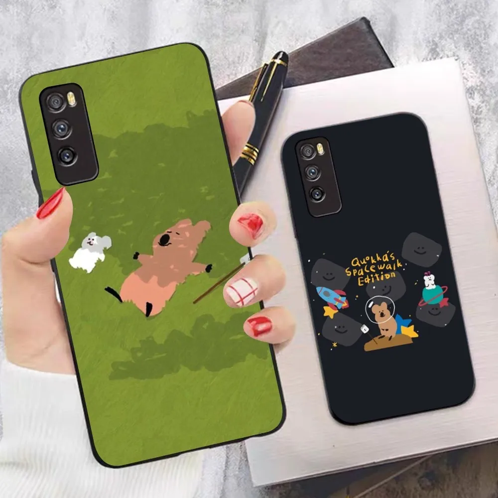 Korea D-Dinotaengs Phone Case For Huawei Mate 10 20 30 40 50 lite pro Nova 3 3i 5 6 SE 7 pro 7SE