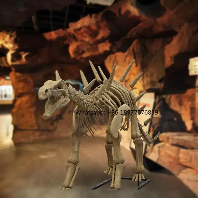 Lifa Life Size Dinosaur Skeleton Fiber Glass Technique Dinosaur Skeleton For Educational Museum