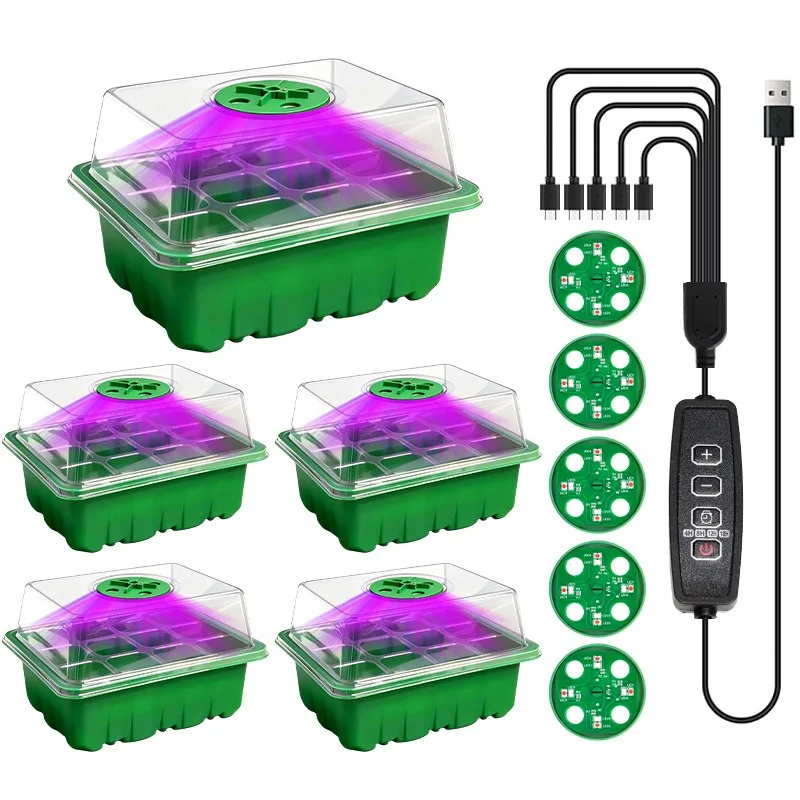 6/12 Holes Plastic Seedling Tray with Light Breathable Plant Growing Box