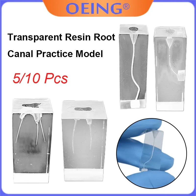 5/10Pcs Dental Endo Training Block Rotary FilesPractice Block Clear Demo M8001S-Root Straight High Quality Dental Module