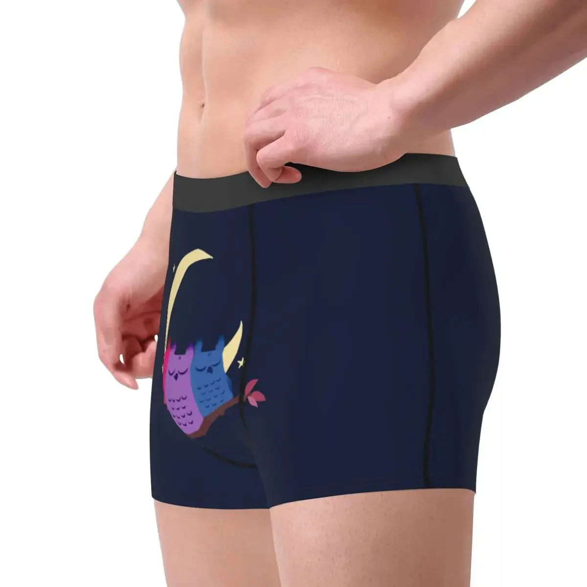 Humor Boxer Shorts Panties Briefs Men's Underwear Gay Pride LGBT Bisexual Lesbian Queer Soft Underpants for Male Plus Size