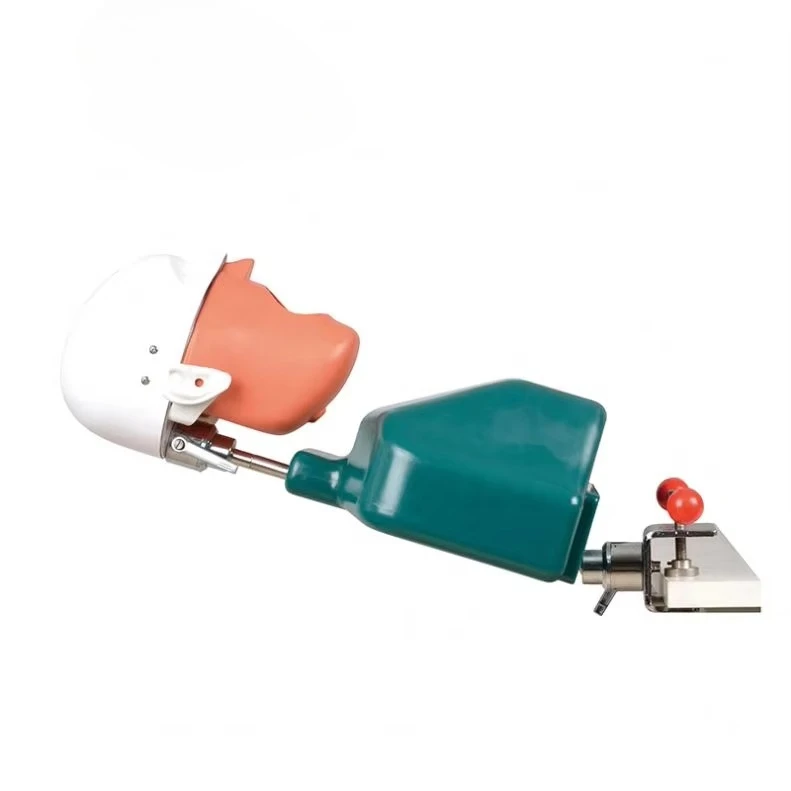 Wholesale Dental Simulator for University Manikin Phantom