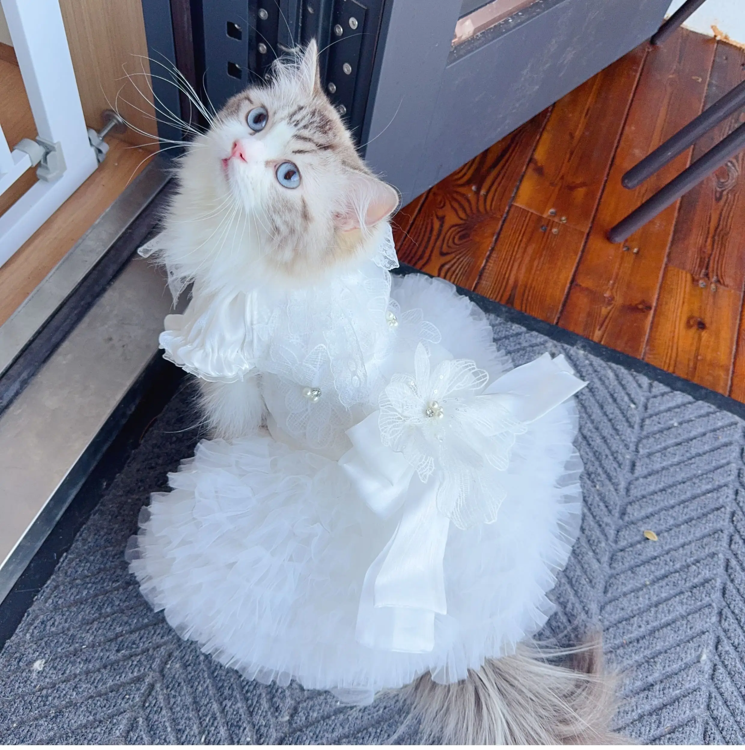 

Elegant Luxury Pure White Lace Long Tail Princess Dress for Small/Medium Pets | Handmade Bow Tie Wedding/Photography Pet Outfit