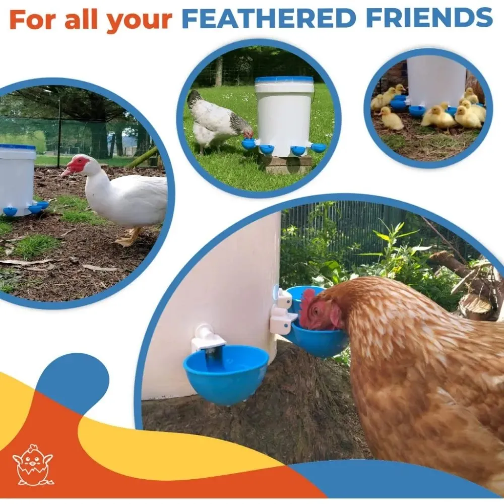 5PCS Poultry Kit Automatic Chicken Water Feeder Automatic Drinking Bowl Feeding Watering Supplie Chicken Waterer view 5