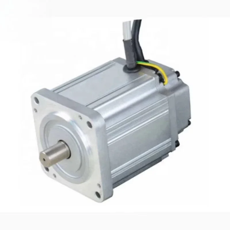 

Whosale High Torque and Low Price 200 W High Speed Brushless DC Motor