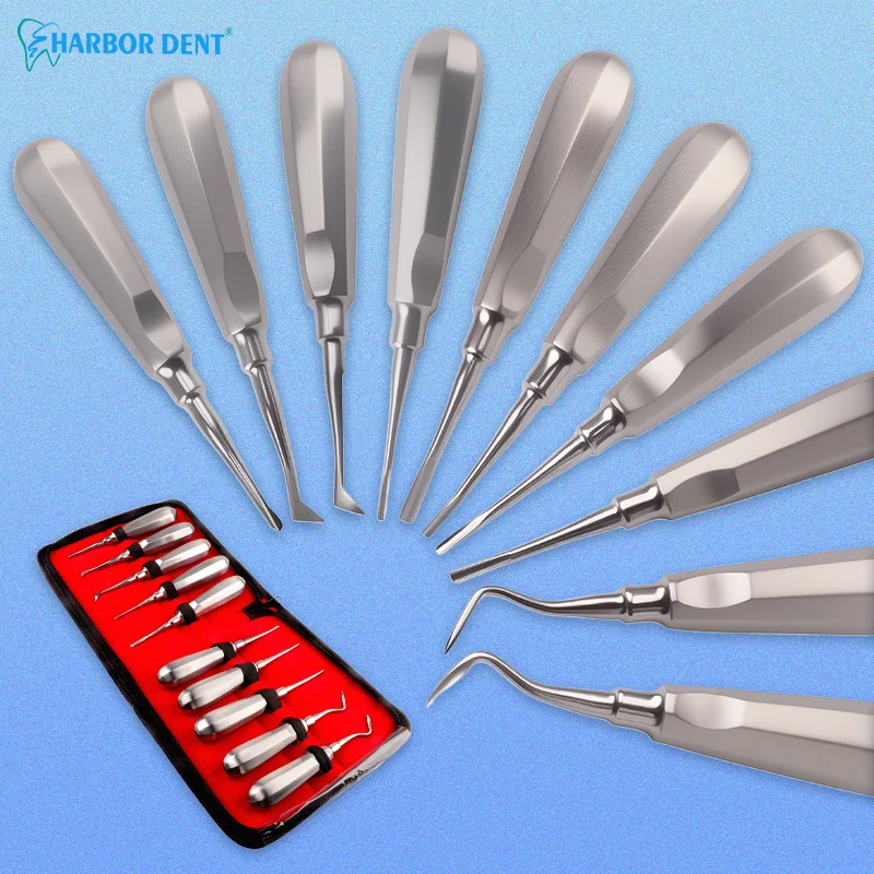 1 Set Dental Extraction Elevator Kit Dentist Tools Set Straight Curved Root Lifter Dental Lab Instruments