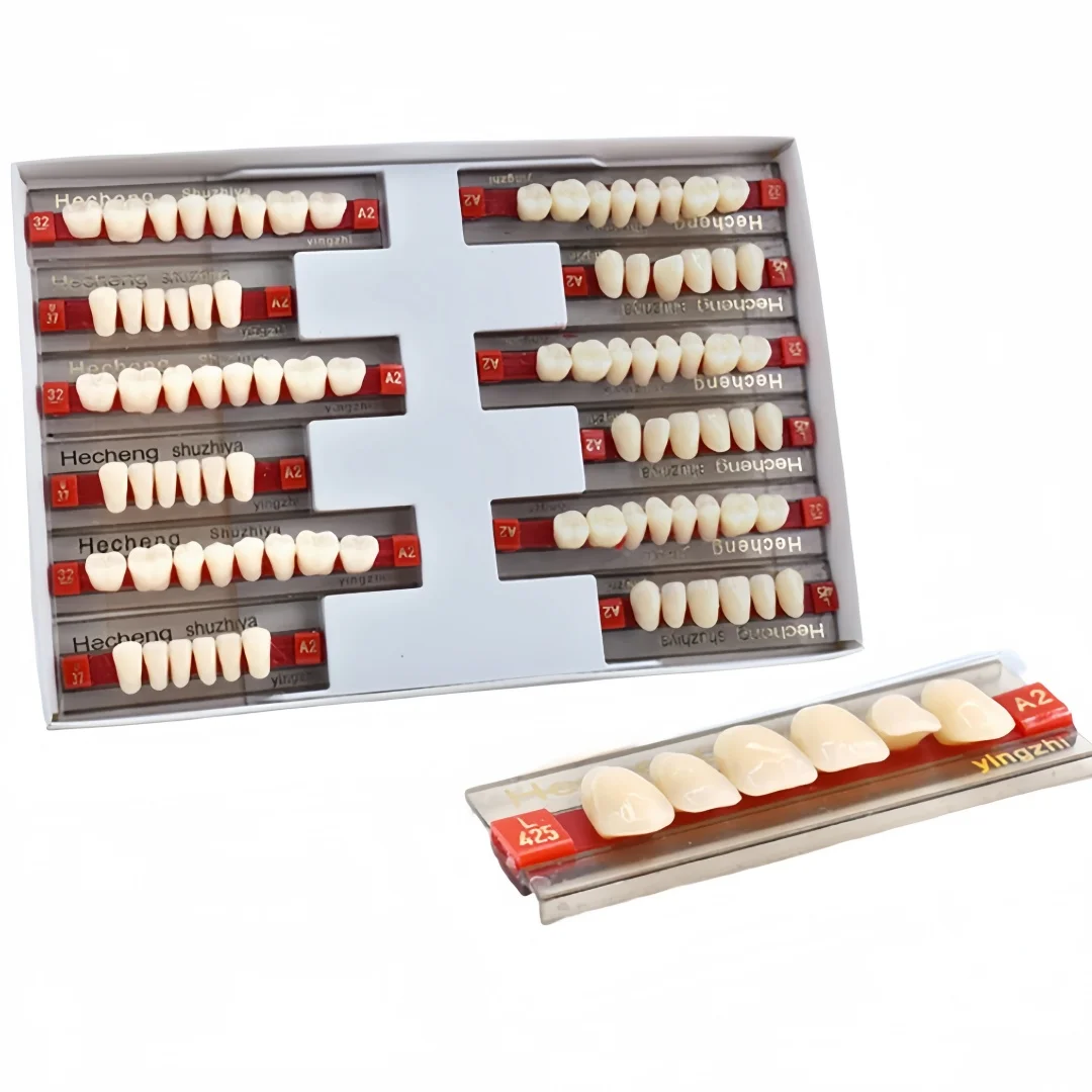 Dental Synthetic Resin False Teeth Denture Set Full Mouth Upper Anterior Lower Posterior Tooth A2 Denture for Dental Material