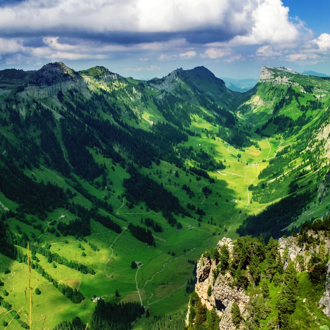 

Специальная дополнительная ссылка для оплаты услуг с добавлением ценности, дополнительных сборов и индивидуальных потреб