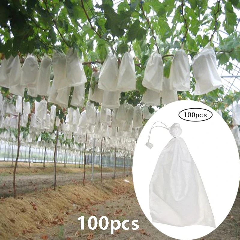 #21 Low Cost Pest Control That Work
