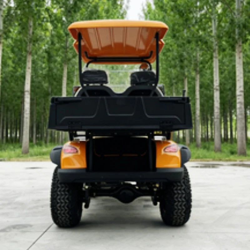 

Настраиваемые солнечные панели, 48 В/72 В для экологически чистой транспортировки, электрическая тележка для гольфа, задний грузовой ящик, передний бампер