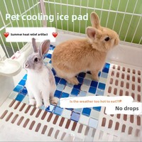 Little White Rabbit Cooling Ice Mat Guinea Pig Cooling Sleeping Pad Glass Heat Sink Mat Pet Summer Ice Nest Supplies