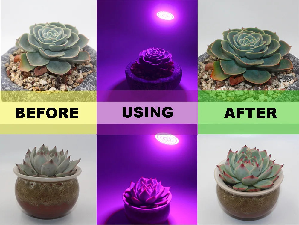 Full Spectrum LED Plant Grow Light with Red Blue Color AC220V GU10 E27 E14 B22 UV Lamp Flower Seedling Fitolamp Indoor Plant