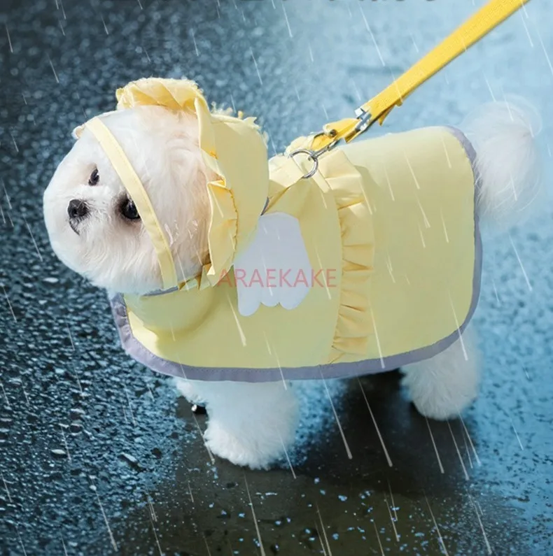 Pet dog candy colored angel raincoat, rain dog walking, outdoor artifact, hooded style, waterproof compared to teddy bear, teddy