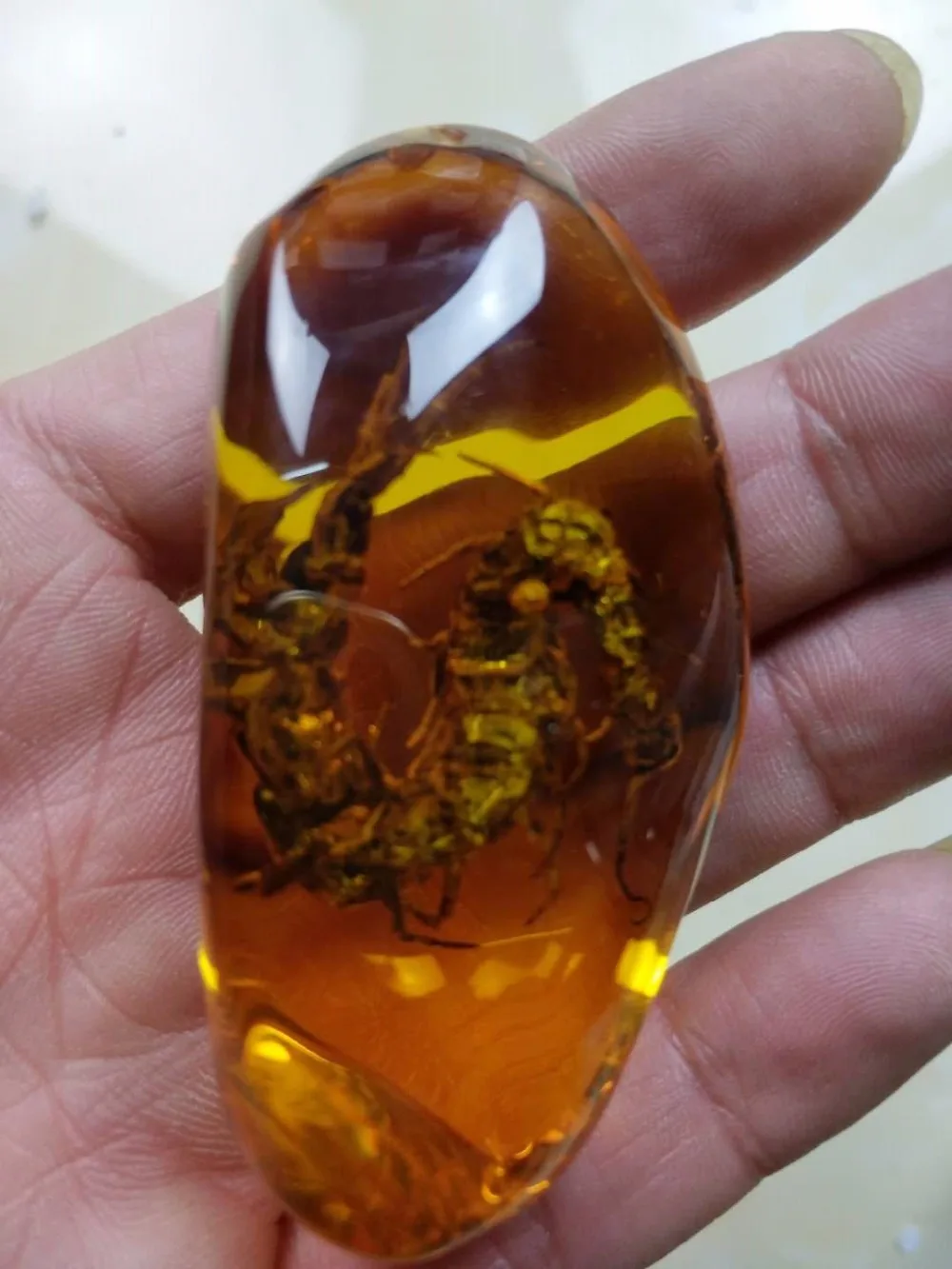 Exquisite Chinese collection Artificial Amber Resin vivid Centipede