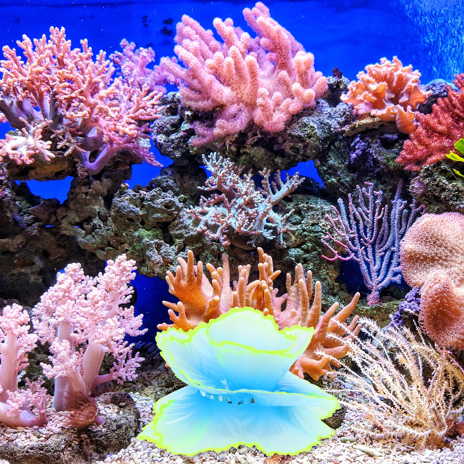 

Fish Tank Decor Coral Aquarium Decoration Mini Ornaments Decorations Silica Gel