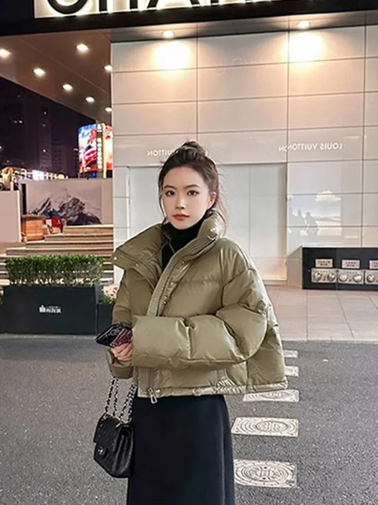 

Женская зимняя утепленная куртка из искусственной кожи с флисовой подкладкой, воротником-стойкой, теплая, универсальная, свободного кроя, верхняя одежда