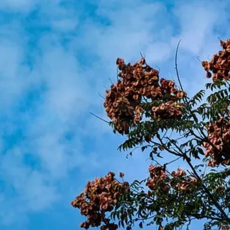 Geprc Taker H743 Fc… - image