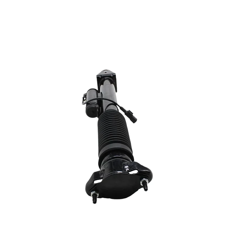1663200130 A1663200930 1663200830 1663200430 For X166 W166 Rear Air Spring Strut Air Shock Absorber Air Suspension
