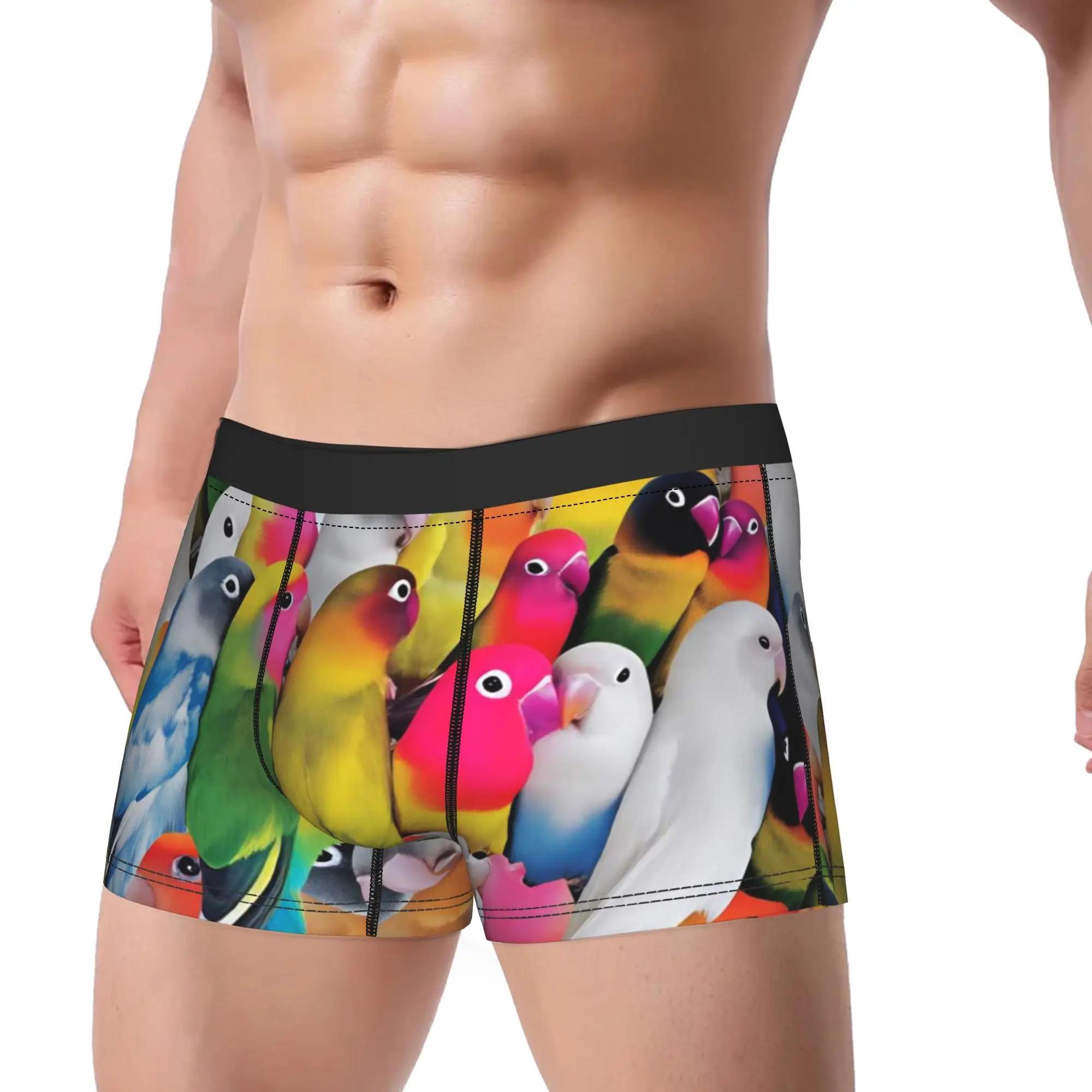

Cute Birds Parrot Underwear Custom Boxer Shorts High Quality Men Panties Breathable Shorts Briefs Gift Idea