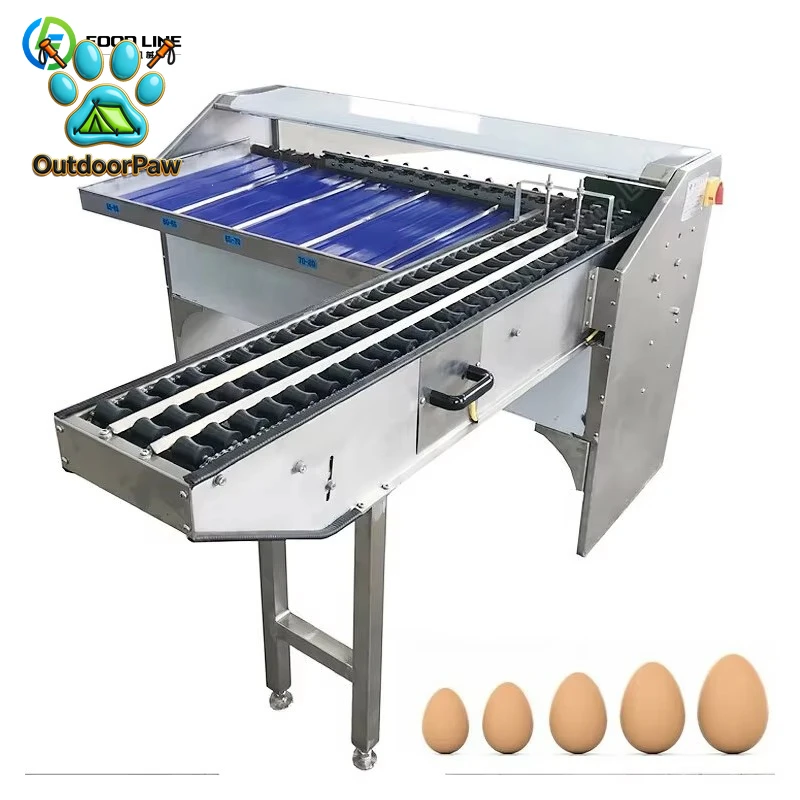 Automatic Egg Grader & Weight Sorter - High Precision Commercial Egg Size/Weight Classification Machine