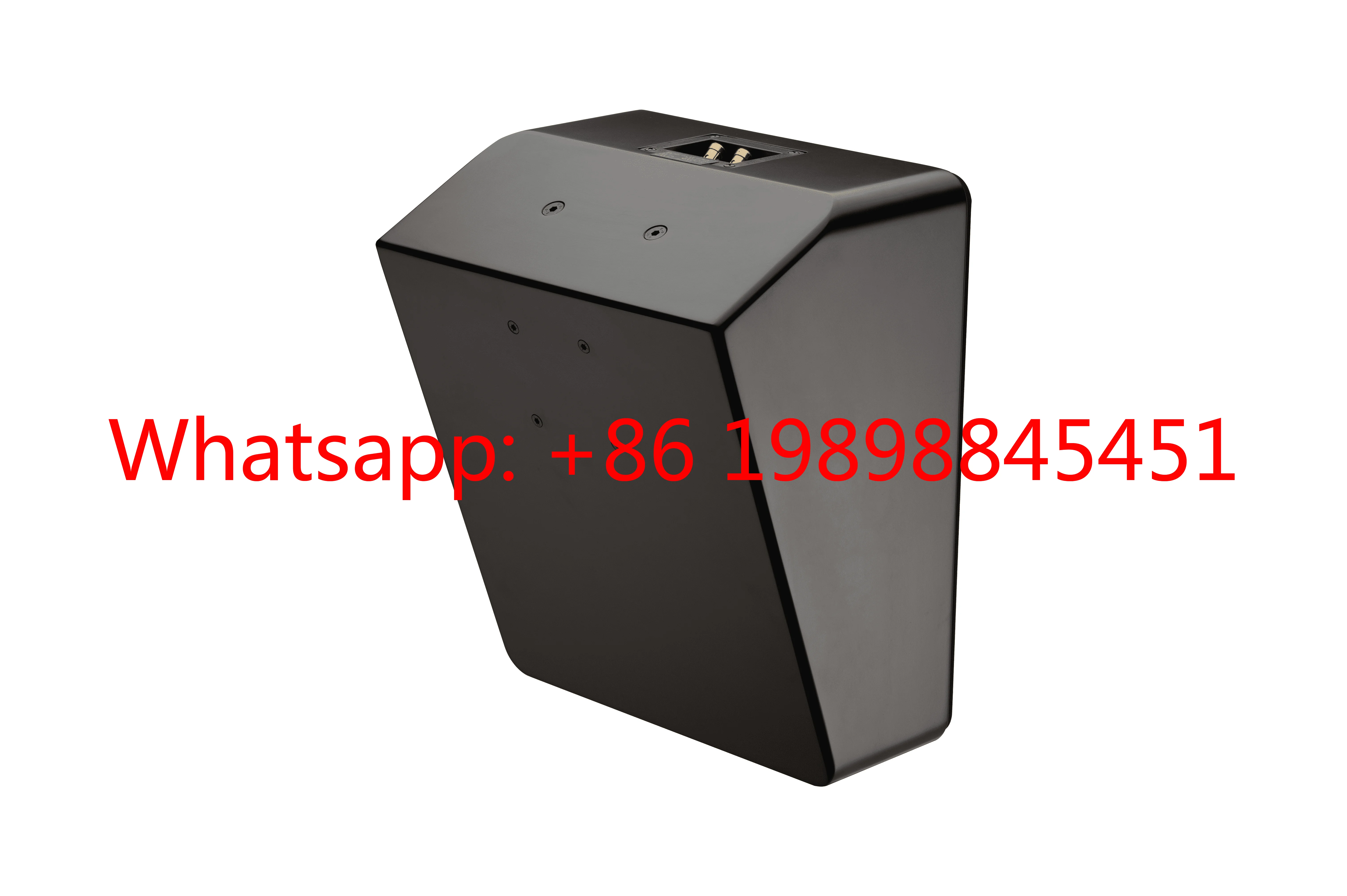 10 Inch Home Theater Karaoke Surround Speaker OEM ODM Customizable