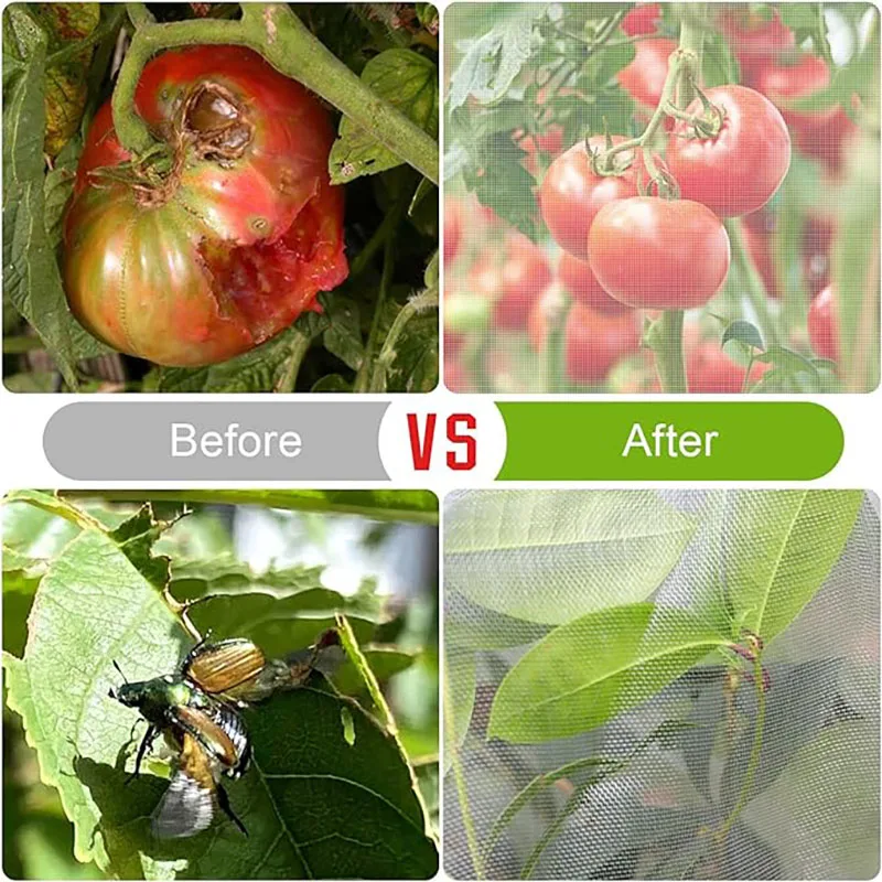 أكياس حماية للنباتات تغطي شبكة لشجرة الخضار والفراولة والعنب ومكافحة الآفات وحقيبة واقية مضادة للطيور #3