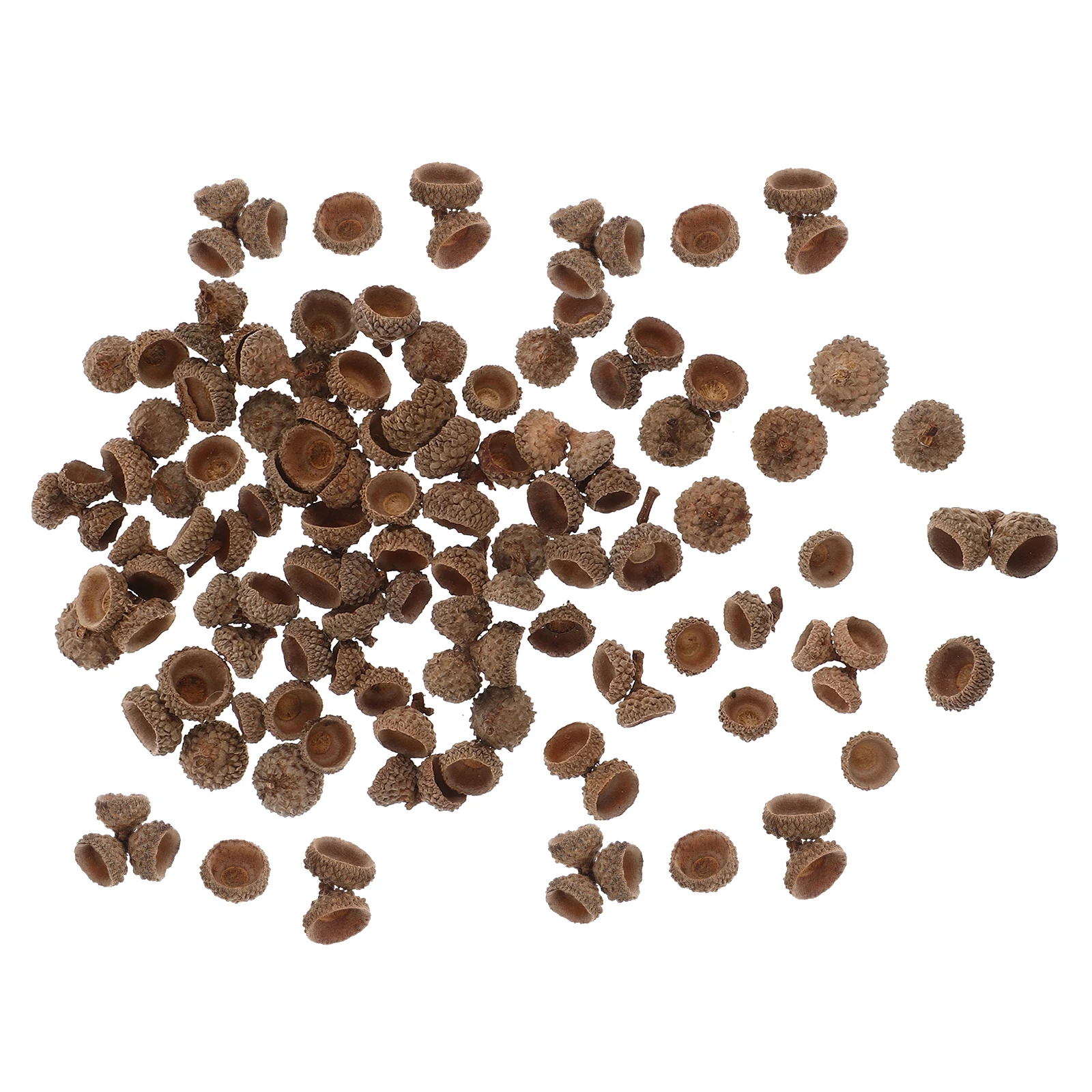 

100 Pcs/50 Pcs Natural Acorn Shells Christmas Tree Dried Flower Art Photo Prop For Autumn Dinner Table Decoration acorn caps