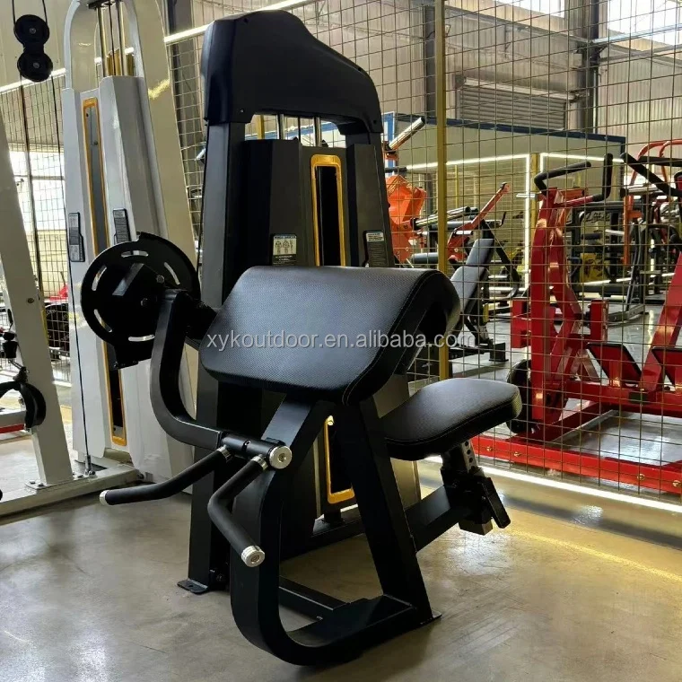 

Commercial Gym Arm Workout Equipment Strength Training Sitting Pins Load Selection Biceps Curl Triceps Extension Machine