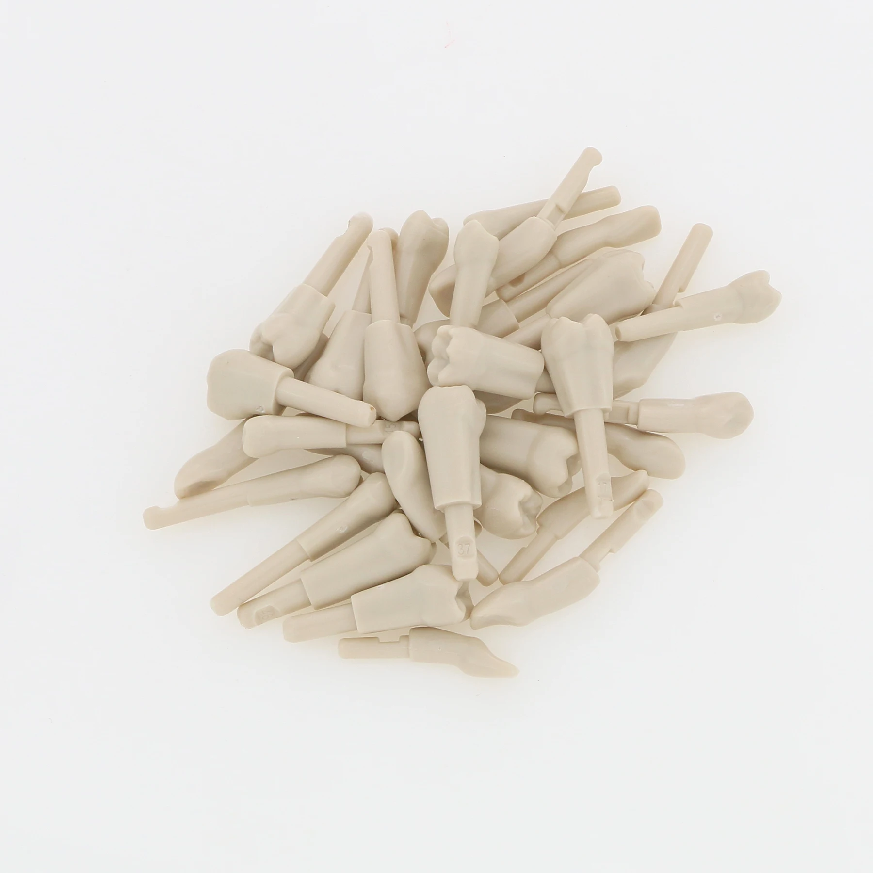 

Dental Tooth Model Basic Model fit Compatible 32Pcs Teeth KAVO Teeth Retention Mechanism Size Marked