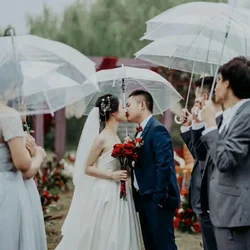 10PCS Clear Transparent Umbrella PVC Dome Umbrellas Adult Long Handle Straight Small Umbrella for Wedding Party Performance