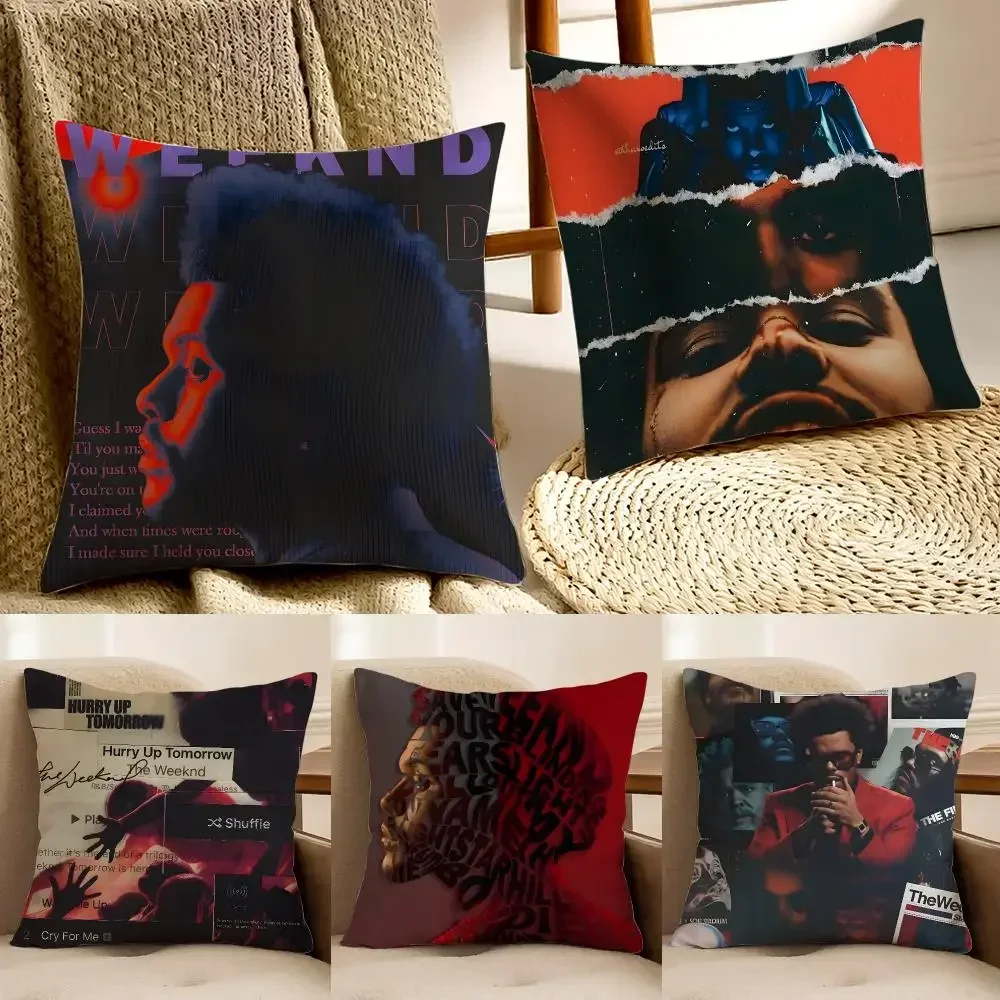 Sensual Pop Singer T-The Weeknd Cushion Cover Faux fur decorative Dark academia style Cat scratching post Rustic pillow cover
