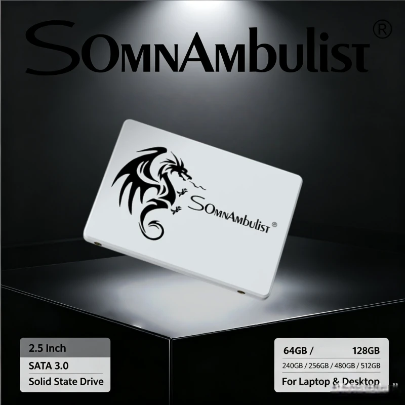 SomnAmbulist 2.5 Inch SATA3 SSD 60GB 120GB 128GB 240GB 256GB 480GB 512GB High Speed Internal Drive for Laptop Desktop Computer
