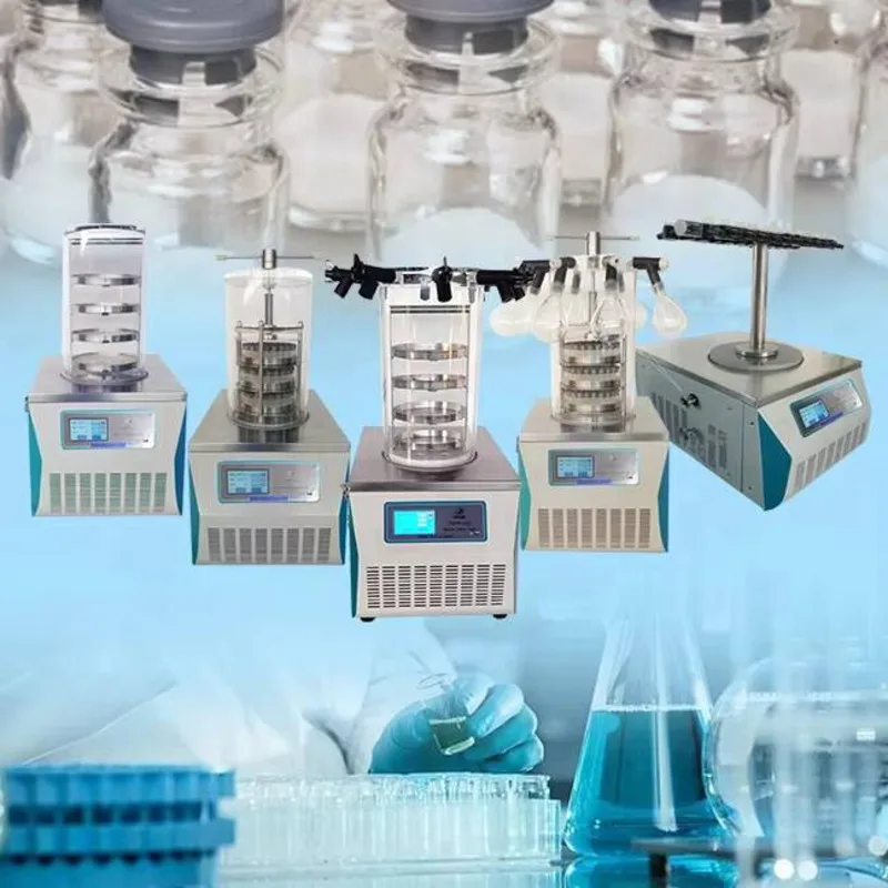 Рисунок 2 - Маленький мини для вакуумной сушки пищевых продуктов