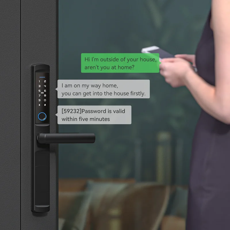 Slim Aluminum Factory Price Tuya EURO Mortise Password Sliding Glass Smart Fingerprint Home Door Lock F2