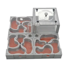 Ant Nest Set New Posterior Small Swarm Flat 3D Acrylic Plaster Expanding Stacked Ant Nests
