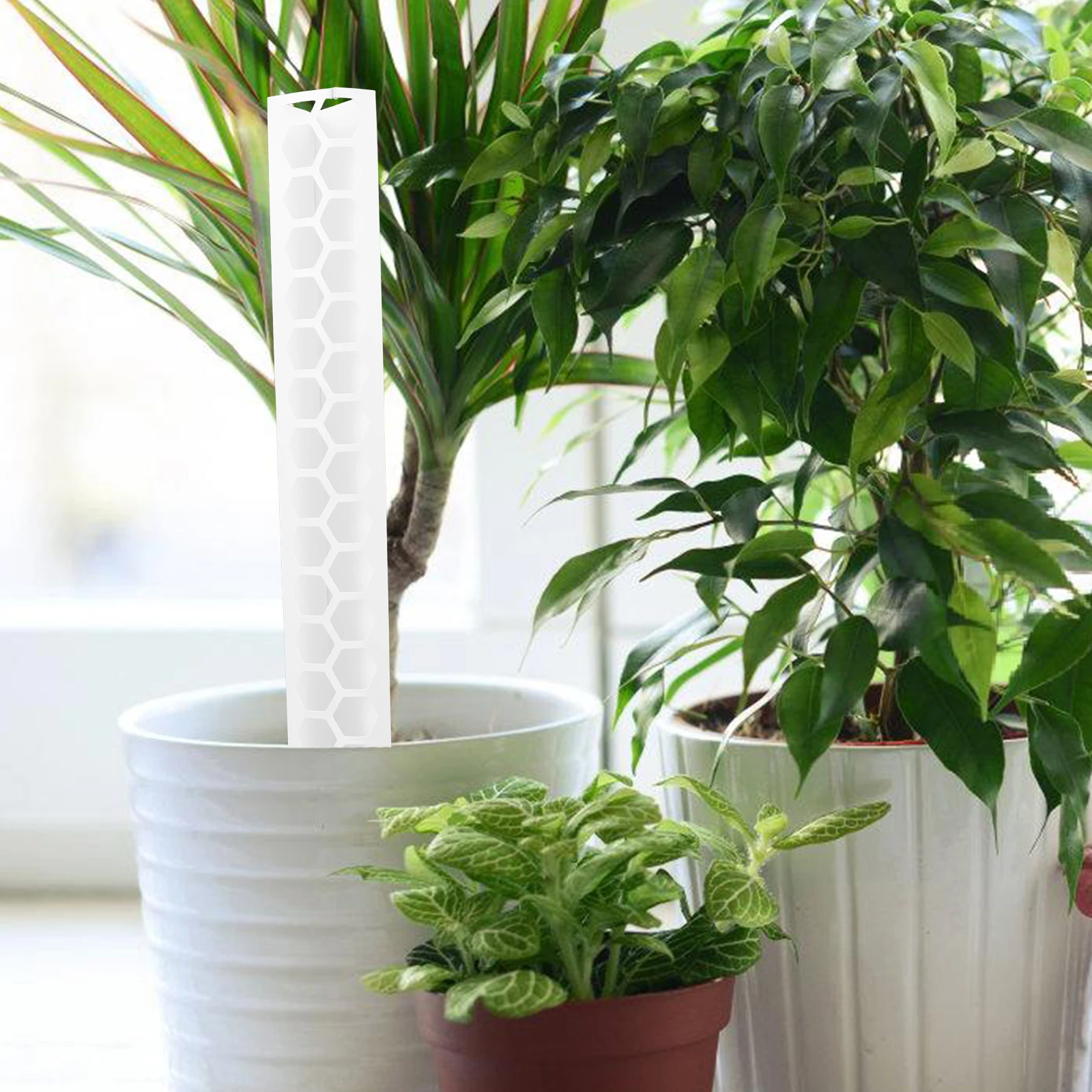 

1 set Plastic Moss Pole for Climbing Plants Vine Column Support Creative Rack Potted Vines Indoor Trellis 5m Plant Tie