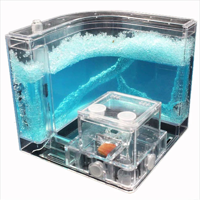 for Acrylic Ants Farm Ants House Castle Colorful Insects Terrarium Ant  Insects Box Nursery Ecological Kid Educational Model Toy