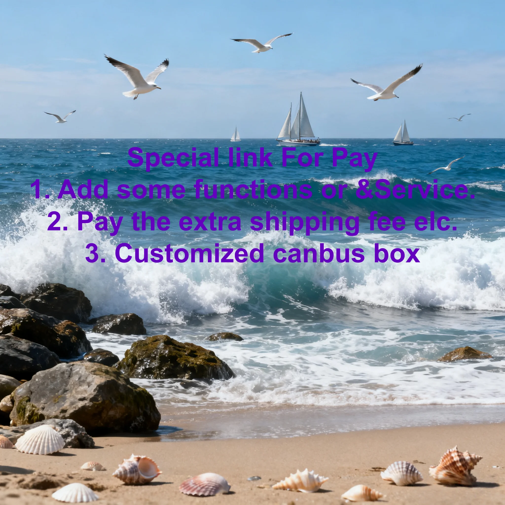 1 Special Link for Our Customers to pay the extra fee