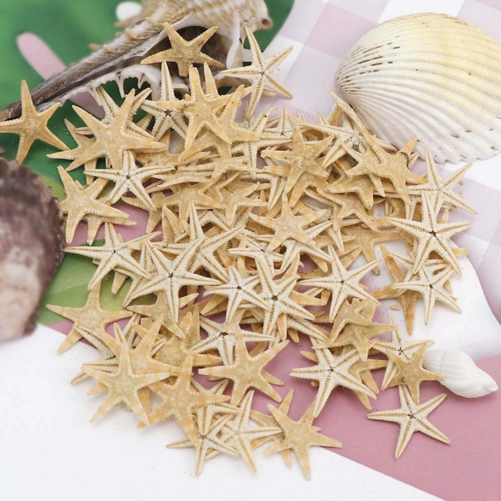 20/50/100pcs Starfish 1 Box Natural Starfish Seashell Beach Craft DIY Beach Wedding Decoration Crafts Home Decor