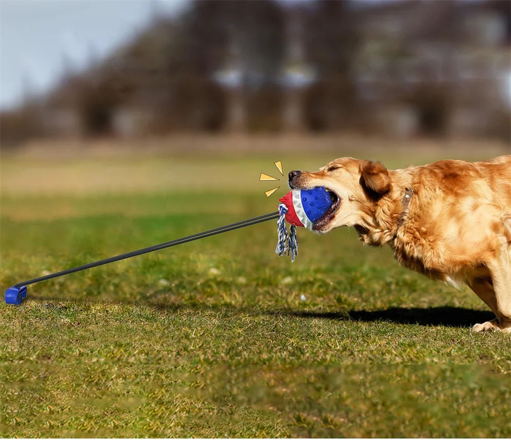 Dog Toy Bite-resistant Molar Golden Hair Training Interactive Ground-inserting Pull Tug-of-war Outdoor Products For Large Dogs